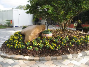 Tampa Landscaping | Blu Landcare