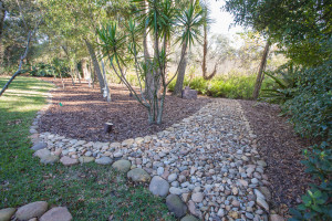 Tampa Landscaping | Blu Landcare