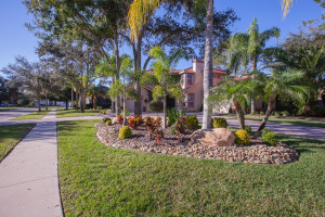 Tampa Landscaping | Blu Landcare