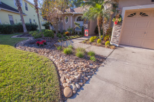 Tampa Landscaping | Blu Landcare