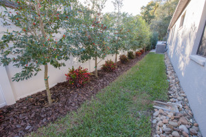 Tampa Landscaping | Blu Landcare